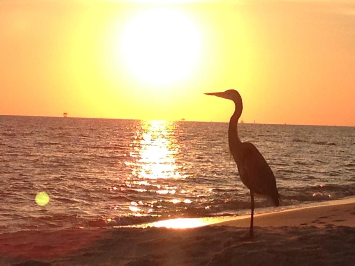 Gulf Shores Plantation Buitenkant foto